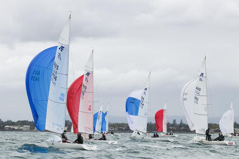 The fleet make their way to the leeward gate in the first race of the day photo copyright Alex McKinnon Photography taken at Royal Brighton Yacht Club and featuring the Etchells class