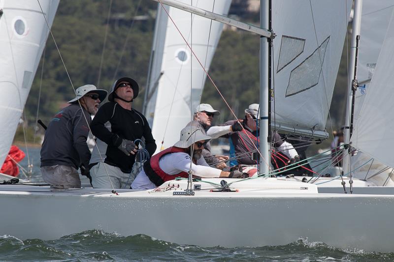 The Don Skippered by Don Wilson crewed by Graeme Murray and Brian Hawthorne working hard down the run photo copyright Alex McKinnon Photography taken at Gosford Sailing Club and featuring the Etchells class