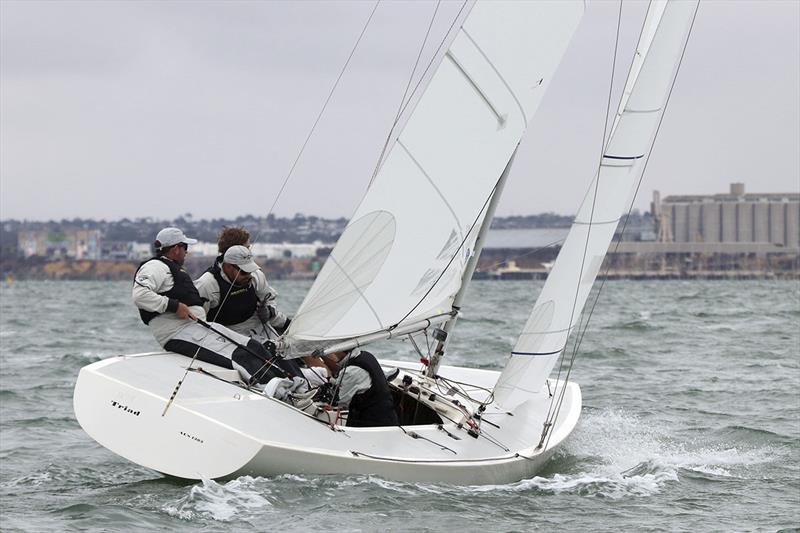 Triad, skippered by Kirwan Robb, won the Corinthian division as a mark of being all-amateur. They finished fourth overall photo copyright Alex McKinnon Photography taken at Royal Geelong Yacht Club and featuring the Etchells class