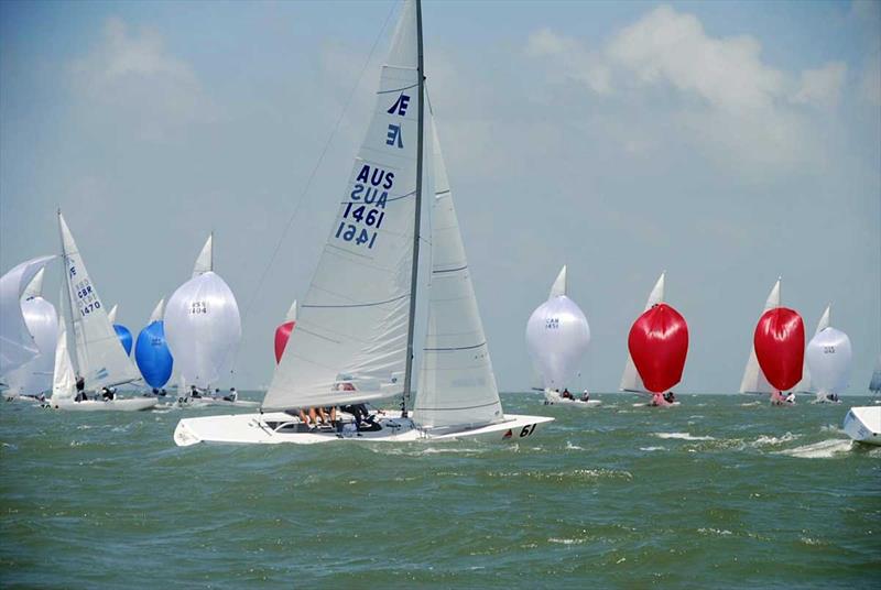 Etchells World Champions Havoc (sail no. 1461) - photo © CCYC