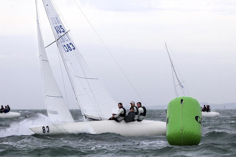 Kirwan Robb and the crew on Triad racing on Corio Bay, Geelong photo copyright ajmckinnonphotography.com taken at Royal Brighton Yacht Club and featuring the Etchells class