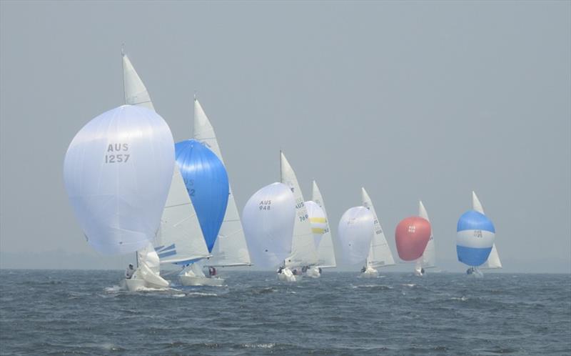 Temptress Leads the fleet in Race 3 - Eastern Region International Etcells Championship 2020 photo copyright Julie-Anne McPherson taken at Metung Yacht Club and featuring the Etchells class
