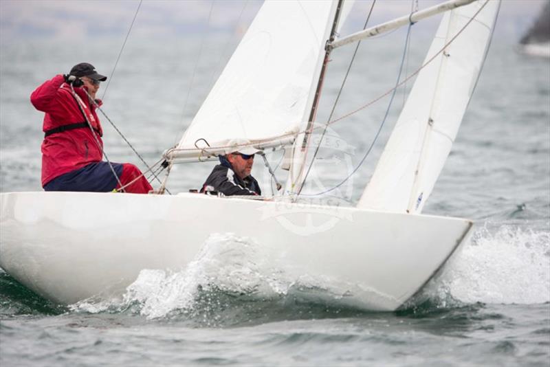 Wayne Knill's Etchells, Medium Rare, was third in division four - 2020 Teakle Classic Lincoln Week Regatta, final day - photo © Bugs Puglisi