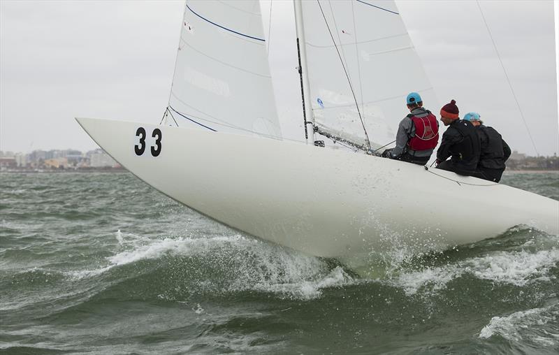 Forte out racing on a choppy Port Phillip in Melbourne photo copyright John Curnow taken at Royal Brighton Yacht Club and featuring the Etchells class