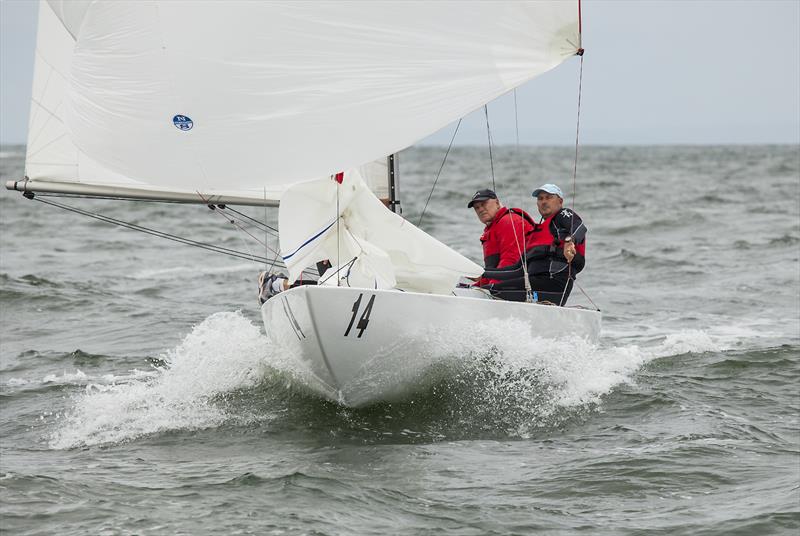 2019 Etchells World Champions - Havoc photo copyright John Curnow taken at Royal Brighton Yacht Club and featuring the Etchells class