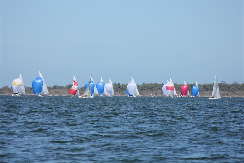 Etchells Victorian Championships photo copyright Julie-Ann McPherson taken at Metung Yacht Club and featuring the Etchells class