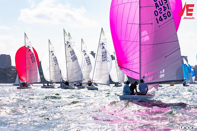 Spectacle in Sydney  - Etchells NSW Championship - photo © Nic Douglass / www.AdventuresofaSailorGirl.com