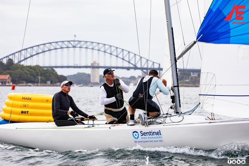 Tango also had a keeper in Race 5 - Etchells NSW Championship photo copyright Nic Douglass / www.AdventuresofaSailorGirl.com taken at Royal Sydney Yacht Squadron and featuring the Etchells class