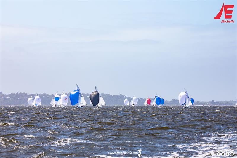The fleet heading into the finish of race 1 on Lake King - Etchells Australian Championship photo copyright Nic Douglass @sailorgirlhq taken at Metung Yacht Club and featuring the Etchells class