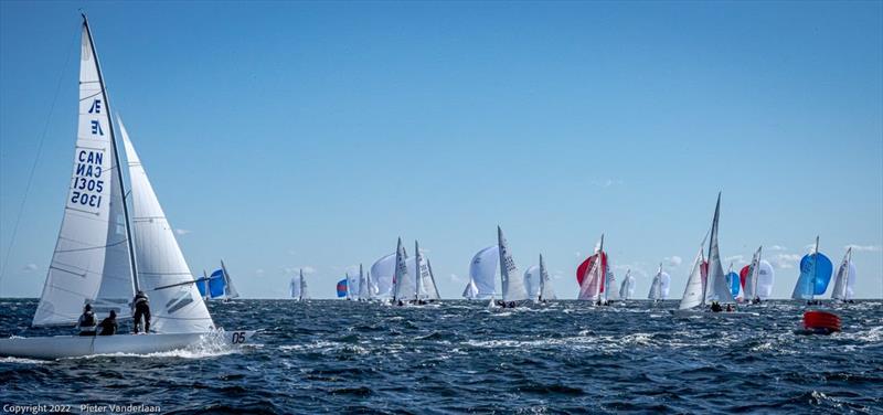 Downwind - Sidney Doren Memorial Regatta photo copyright Pieter Vanderlaan taken at Biscayne Bay Yacht Club and featuring the Etchells class