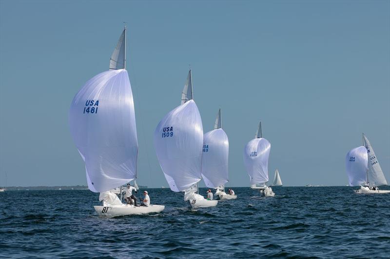 Second Place Overall Series, Louise: Thomas Carruthers / Bill Hardesty / Jeff Reynolds - 2022/2023 Etchells Biscayne Bay Series - Mid-Winter East Regatta photo copyright Nic Brunk taken at Biscayne Bay Yacht Club and featuring the Etchells class