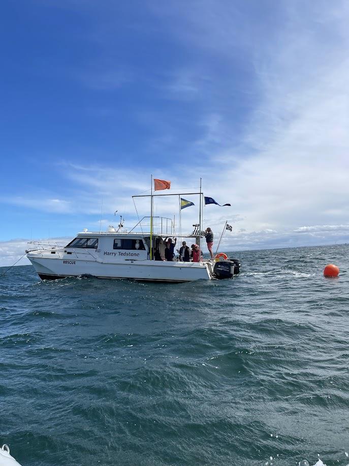 General Recalls were the flavour of day two of the Etchells Victorian State Championship photo copyright Laura Thomson / RBYC taken at Royal Brighton Yacht Club and featuring the Etchells class