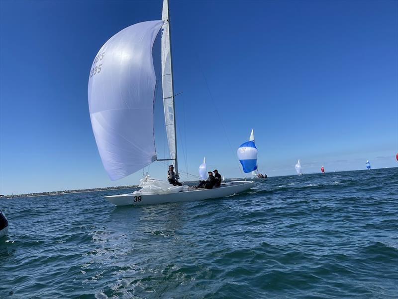Shoulda Gone Left finished a respectful third place and first Corinthian at the Etchells Victorian State Championship photo copyright Laura Thomson / RBYC taken at Royal Brighton Yacht Club and featuring the Etchells class