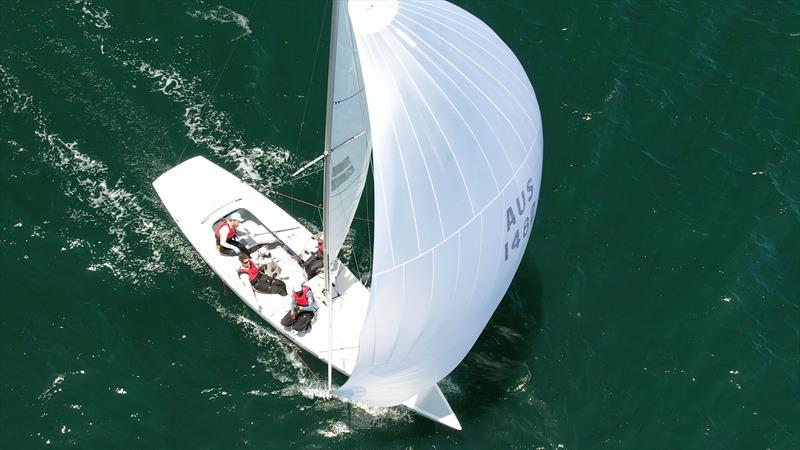 Etchells NSW State Championship 2024 - Golden Tacticians - photo © Terry Calley for Hippodrone