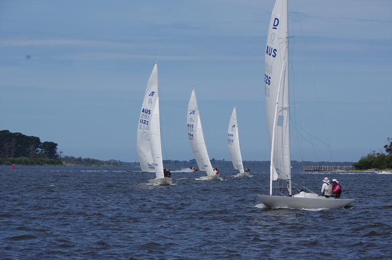 Seventeen Etchells yachts will contest the Victorian championships at Metung on January 26 to 28 - photo © Jeanette Severs