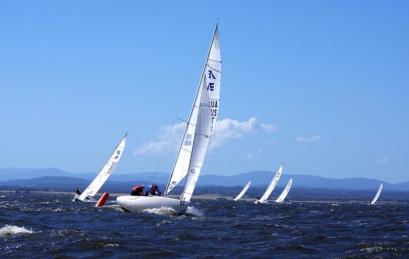 Tim Hall goes forward on Feng Shui to raise the spinnaker as the boat traverses the windward gate - Etchells Victorian Championship 2024 photo copyright Jeanette Severs taken at Metung Yacht Club and featuring the Etchells class