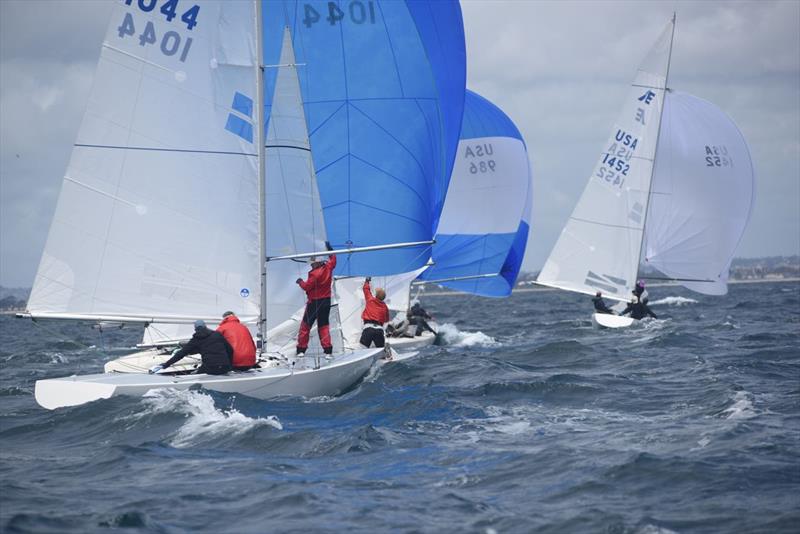 Etchells Orca Bowl Regatta at San Diego Yacht Club - photo © Bob Betancourt
