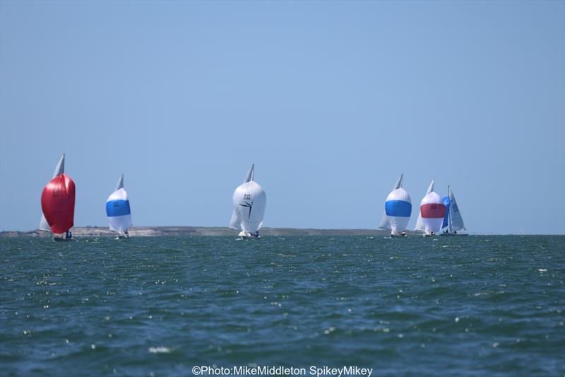 Brisbane Etchells Fleet Championship - photo © Mike Middleton Spikey Mikey
