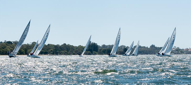 All set for the 2026 Etchells Australian Nationals - photo © Tom Hodge