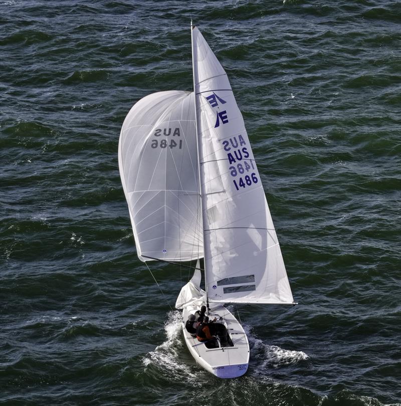 Magpie won the regatta - here winning a race on breezy day one - Etchells Victorian State Championship 2026 - photo © Terry Calley for Hippodrone