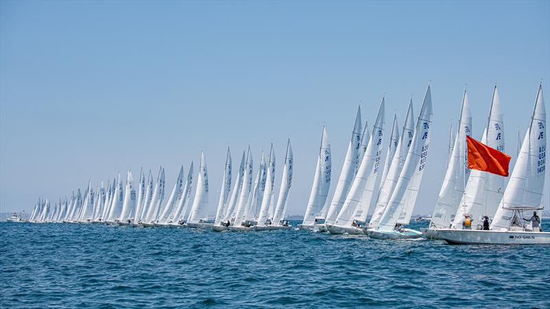 All set for the 2026 Etchells World Championship at San Diego Yacht Club photo copyright Mark Albertazzi taken at San Diego Yacht Club and featuring the Etchells class