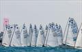 © Pep Portas / RCN Torrevieja