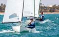 © Pep Portas / RCN Torrevieja