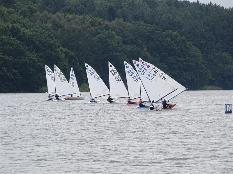 Europes at Staunton Harold photo copyright Michael Giles taken at Staunton Harold Sailing Club and featuring the Europe class