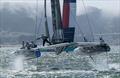 © Felix Diemer/SailGP