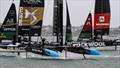 Black Foils (NZL) - Day 1 - ITM NZ SailGP - Auckland - February 14, 2026 &copy; Richard Gladwell - Sail-World.com/nz