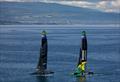 &copy; Jonathan Nackstrand for SailGP