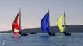  Farr 1020 National Championship - Buckland Beach YC - June 13-14, 2026 &copy; Anton Post