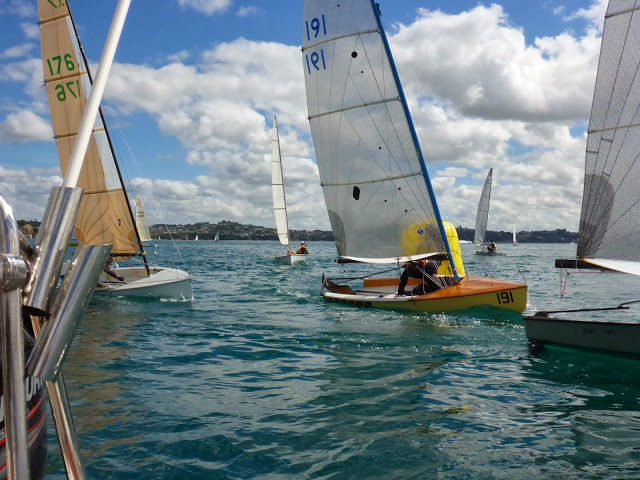 Farr 3.7 New Zealand National Championships at Manly Sailing Club - photo © Chris Mitchell