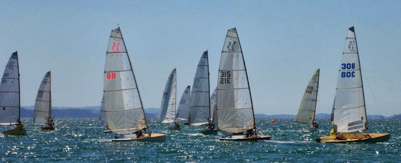 Farr 3.7 New Zealand National Championships at Manly Sailing Club photo copyright Chris Mitchell taken at Manly Sailing Club and featuring the Farr 3.7 class