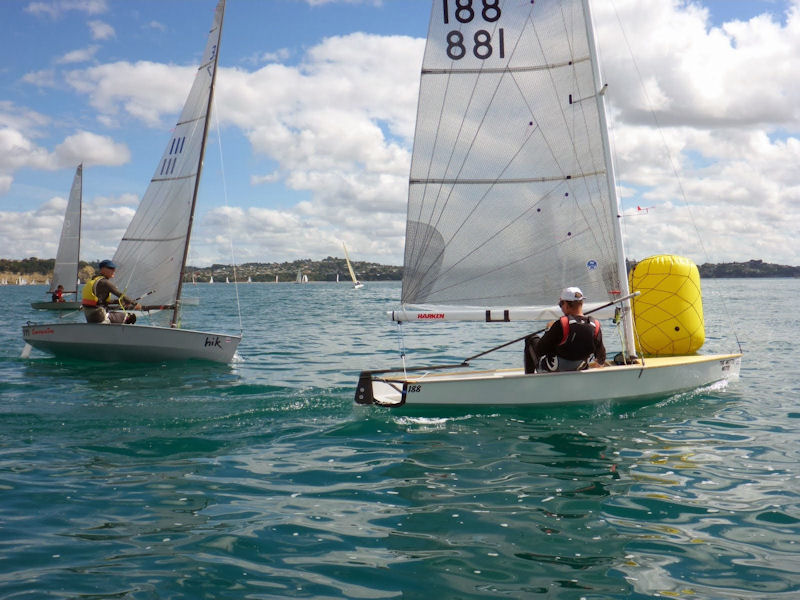 Farr 3.7 New Zealand National Championships at Manly Sailing Club photo copyright Chris Mitchell taken at Manly Sailing Club and featuring the Farr 3.7 class