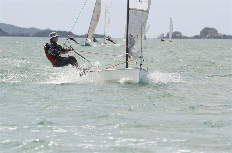 Farr 3.7 New Zealand National Championships  photo copyright Christine Hansen taken at Bay of Islands Yacht Club and featuring the Farr 3.7 class