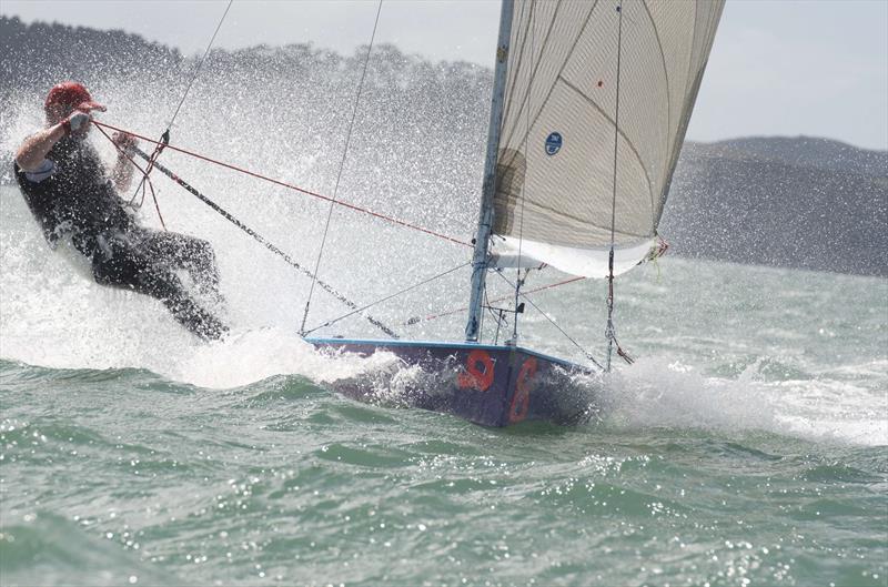 Farr 3.7 New Zealand National Championships  - photo © Christine Hansen