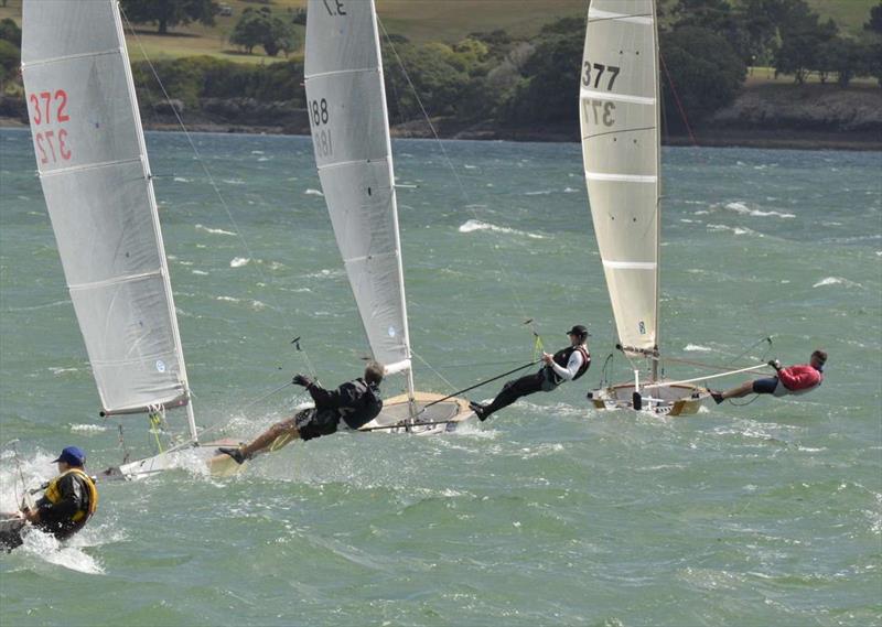 Farr 3.7 New Zealand National Championships  photo copyright Christine Hansen taken at Bay of Islands Yacht Club and featuring the Farr 3.7 class