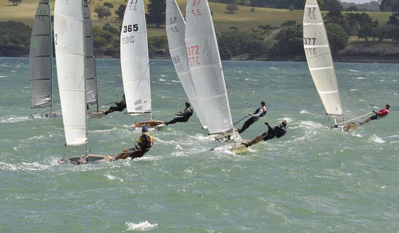 Farr 3.7 New Zealand National Championships  photo copyright Christine Hansen taken at Bay of Islands Yacht Club and featuring the Farr 3.7 class