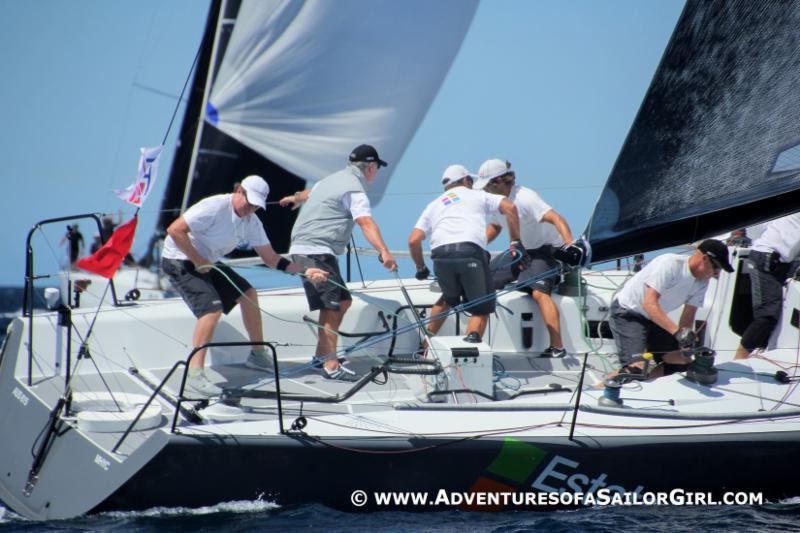 Martin Hill, F40 Class President, at the Farr 40 Sydney Open Regatta - photo © Nic Douglass / www.AdventuresofaSailorGirl.com