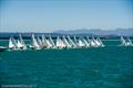 Flying Dutchman World Championship 2019 - Nelson Yacht Club - February 2019 © Graeme Robertson