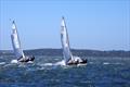 David Gibb and John Bailey on Lupicus NZL112 and Rafe Heale and Tom Watson on Power AUS7 sprint away from the start line in race six, for the Flying Dutchman 2026 Australian championship, held at Metung, Victoria, Australia &copy; Jeanette Severs