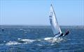 Gary Cameron and Darren Hocking on Blu Tak AUS338 won race one convincingly in the Flying Dutchman 2026 Australian championship regatta – which garnered them the prestigious Albert Gold Cup &copy; Jeanette Severs