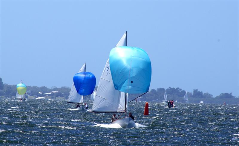Spinnakers flying on the downwind leg, Rafe Heale and Tom Watson on Power AUS7 well ahead of Matt Draper and Thomas Stuchbery on Freight Train AUS001, who are also well ahead of third-placed David Gibb and John Bailey on Lupicus NZL112 - photo © Jeanette Severs