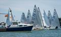 Bosham Finn Festival 2022 © Peter Hickson