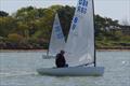 British Finn Spring Series concludes at Itchenor &copy; Andy Penman