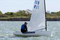 British Finn Spring Series concludes at Itchenor &copy; Andy Penman