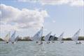 British Finn Spring Series concludes at Itchenor &copy; Andy Penman