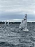 2026 British Finn Inlands at Rutland Water &copy; Richard Smith