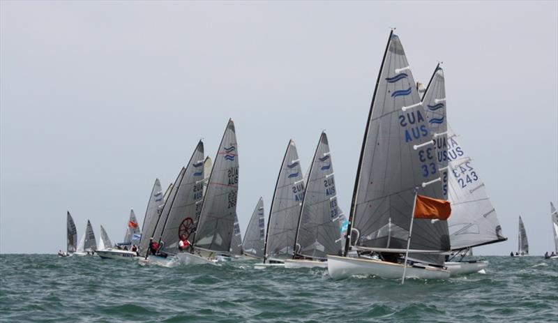 Finns racing off Black Rock YC - Sail Melbourne 2018 photo copyright Lara Blasse taken at  and featuring the Finn class